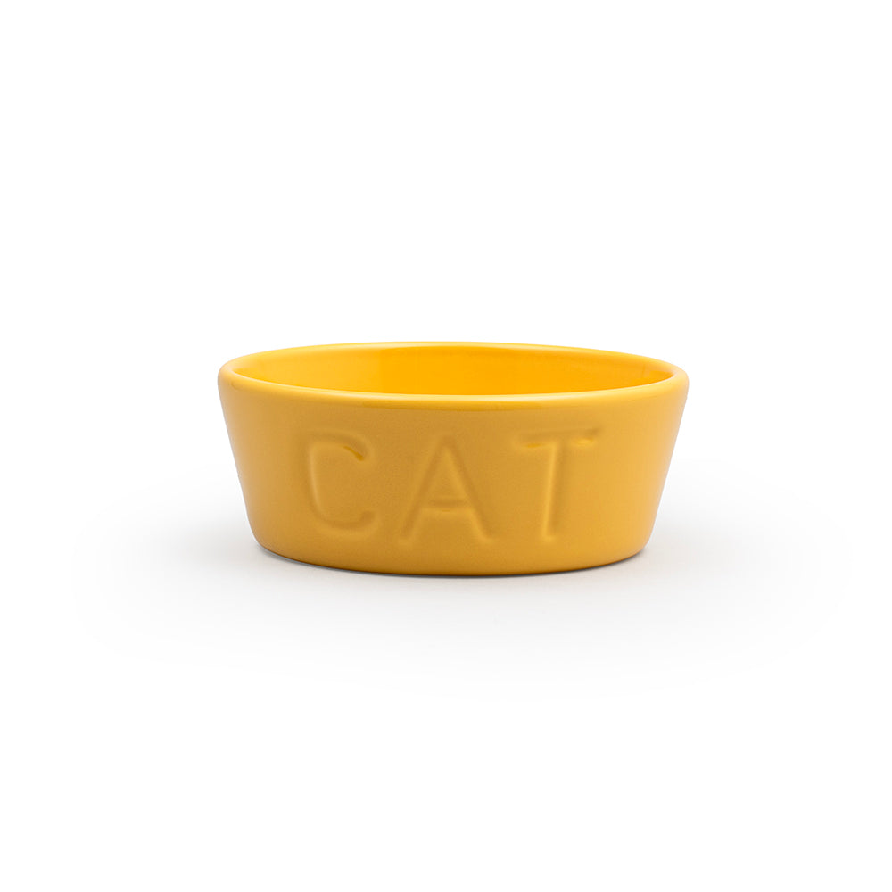 Cat Dish