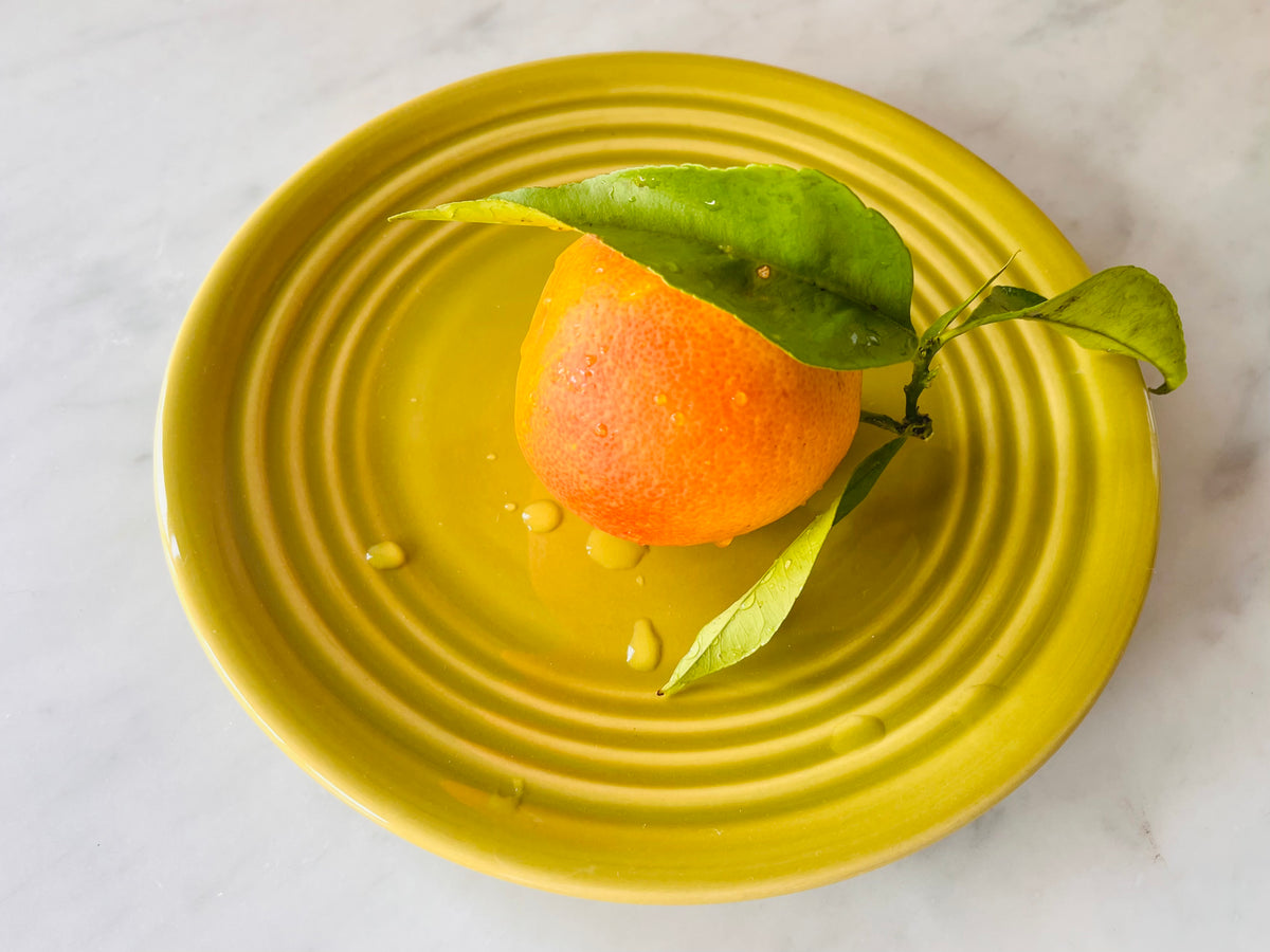 Bauer Salad Plate