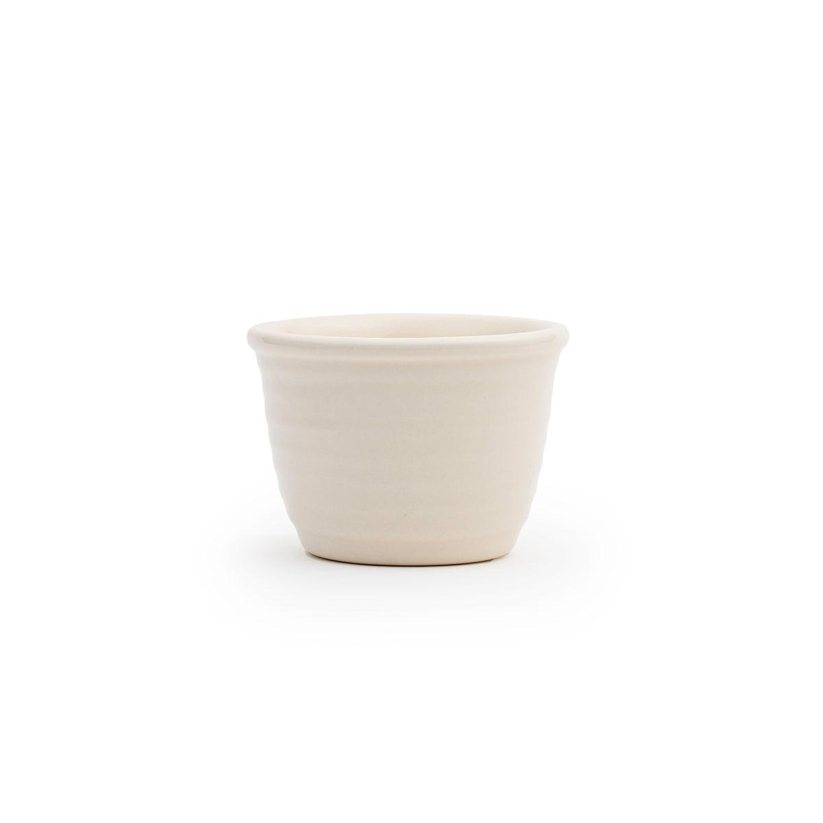 Custard Cup
