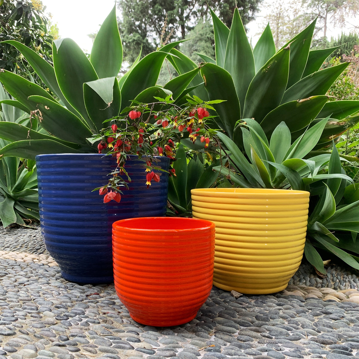 Jardiniere Pot 12 Inch